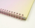 Planner Agenda Permanente BRW Sem Data - comprar online