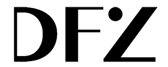 DFZ - Dri Ferraz