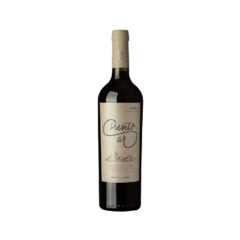 A16 Punto Ar - Soleil Cabernet Franc 750cc x6