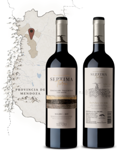 Septima Tierra Gualtallary 1310 msnm. 2019 x 6u