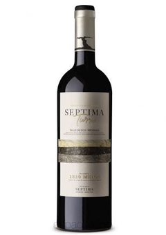 Septima Tierra Agrelo 1050 msnm. 2019 x 6u