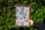 Banner de El aula de Nequi