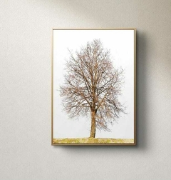 Quadro Decorativo Arvore galhos secos - comprar online