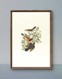 Quadro Decorativo Passaros - comprar online