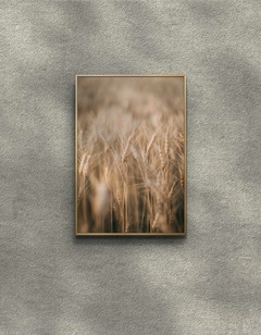 Quadro Decorativo Trigo