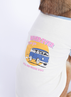 T-shirt Manga Raglan Kombi