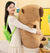 Plush capybara - buy online