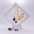 Conjunto Borboleta Parides burchellanus ou Ribeirinha/Brumadinho/Brasil. - comprar online