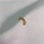 Piercing Fake Zircônias - loja online