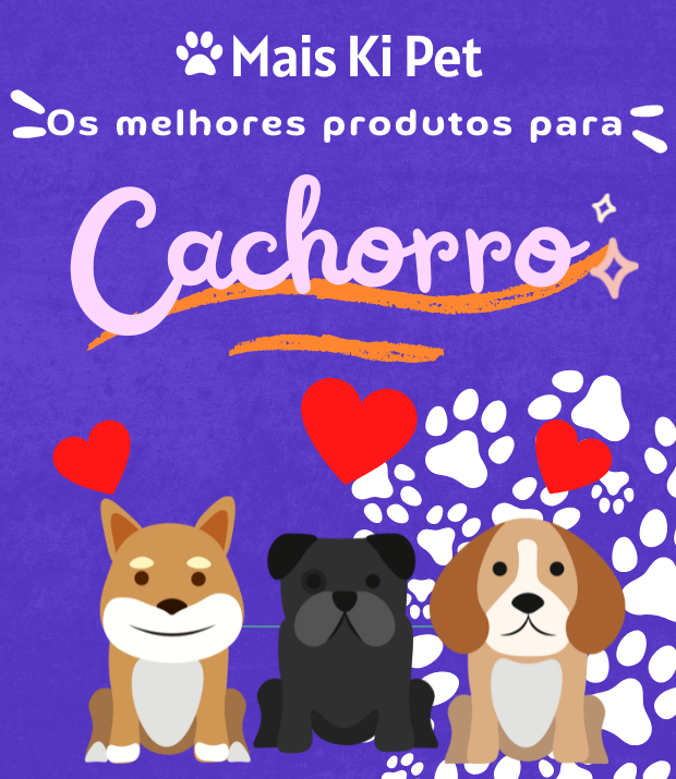 Cachorros