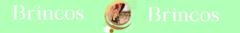 Banner da categoria Brincos