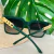 Imagem do OCULOS SOLAR MABY