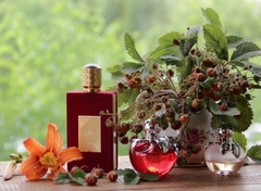 Ameerat Al Arab Asdaaf Lattafa Eau de Parfum Feminino -100 ml - Monnaliza Pato Branco - Perfumes Importados 100% Originais