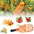 Colheitadeira de Frutas de Plástico cabeça de jardim cesta Multi-color - Negócio Online