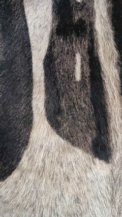 Alfombra Cuero - comprar online