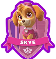 Aplicaciones Skye x 6u.