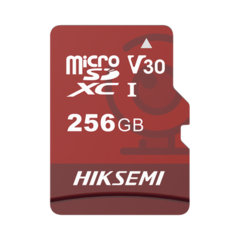 HIKSEMI - E1/256GB - Memoria microSD / Clase 10 de 256 GB / Especializada Para Videovigilancia (Uso 24/7)