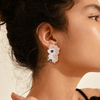 Aretes pony esmaltado