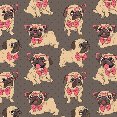 Conjunto Pug Óculos (MICROFIBRA)