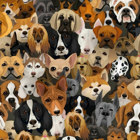 Conjunto Cães (MICROFIBRA)