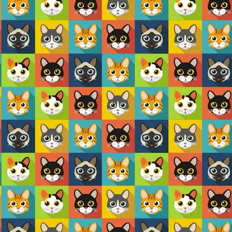 Conjunto Gatos Quadros (MICROFIBRA)