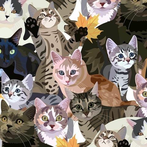 Scrub Gatos (MICROFIBRA)