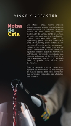 Cheche Mandinga Malbec Reserva 2021 (Caja 6 botellas 750ml.) - Bodega 13/20