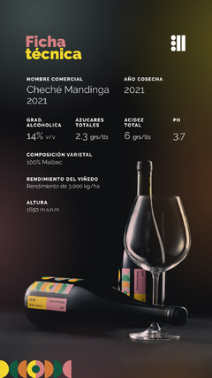 Cheche Mandinga Malbec Reserva 2021 (Caja 6 botellas 750ml.) - comprar online