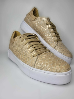 Modelo Pisa S Croco en internet