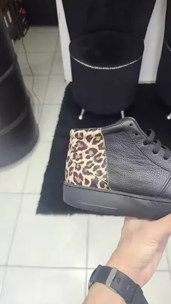 Modelo Japon - Siamo Leoni