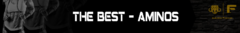Banner da categoria Aminos