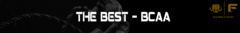 Banner da categoria Bcaa