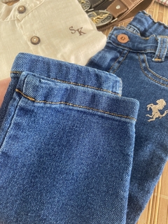 Calça Jeans Bordada Cavalinho na internet