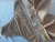 Conjunto Básico Preto - comprar online