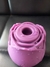 Rosa Poderosa - comprar online