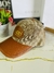 Boné de beisebol Gucci lona GG com Web - comprar online