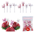 BACKUP- Mini Garfinhos Infantil Frutas Lancheira Petisco - Kit 40pçs - PROMOGALAX