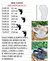MOCASSIM BRANCO MILAN - comprar online