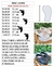 MOCASSIM BRANCO BATIZADO - comprar online