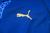 Camisa Olympique de Marselle, Camisa da Olympique de Marselle, Camisa oficial Olympique de Marselle, Olympique de Marselle masculina, Camisa Olympique de Marselle feminina, Camisa Olympique de Marselle infantil, Uniforme Olympique de Marselle, Kit infanti