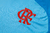 Camisa Flamengo, Camisa do Flamengo, Camisa Flamengo 2024, Camisa oficial Flamengo, Camisa Flamengo masculina, Camisa Flamengo feminina, Camisa Flamengo infantil, Uniforme Flamengo, Kit Flamengo, Camisa Flamengo, Camisa Flamengo primeira linha,  Camisa Bo
