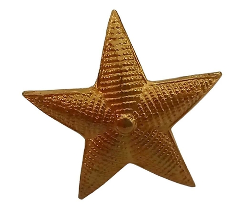 ESTRELLA AÑOS DE SERVICIO GNA