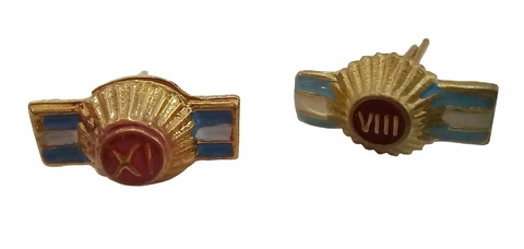 PIN AGRUPACION