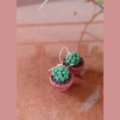 Aretes Sucus (suculentas modelos variados)