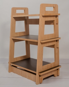 ORGANIZADOR