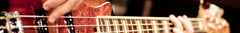 Banner de la categoría Bejos Eléctricos