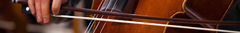 Banner de la categoría Cellos