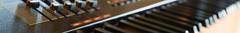 Banner de la categoría Órganos
