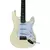 Combo Stratocaster LSP en internet