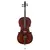 Stradella 4/4 MC601144 - casasuant